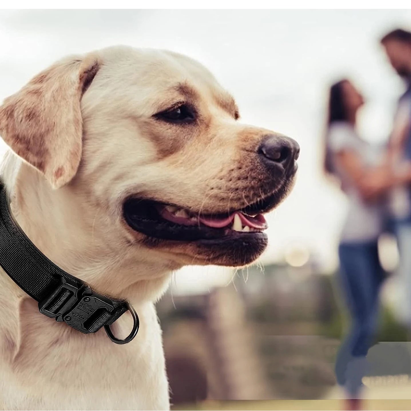 Tactical Grip Dog Collar – Heavy-Duty Nylon Military Collar with Control Handle & Secure Metal Buckle for Medium & Large Dogs