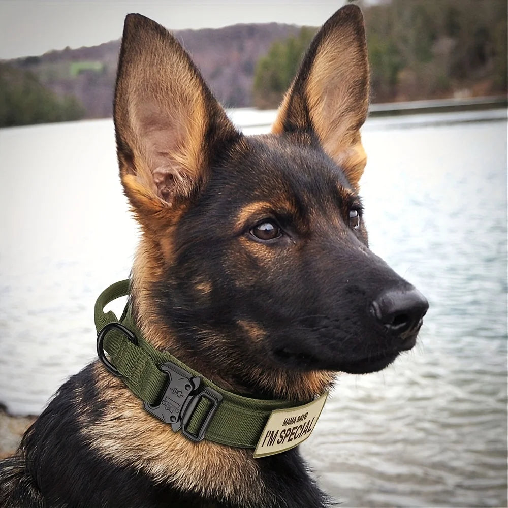 Heavy-Duty Tactical Dog Collar – Military-Grade Nylon Collar with Handle, Patch Panel & Secure Buckle for Outdoor Training, Walking – Fits Medium & Large Dogs